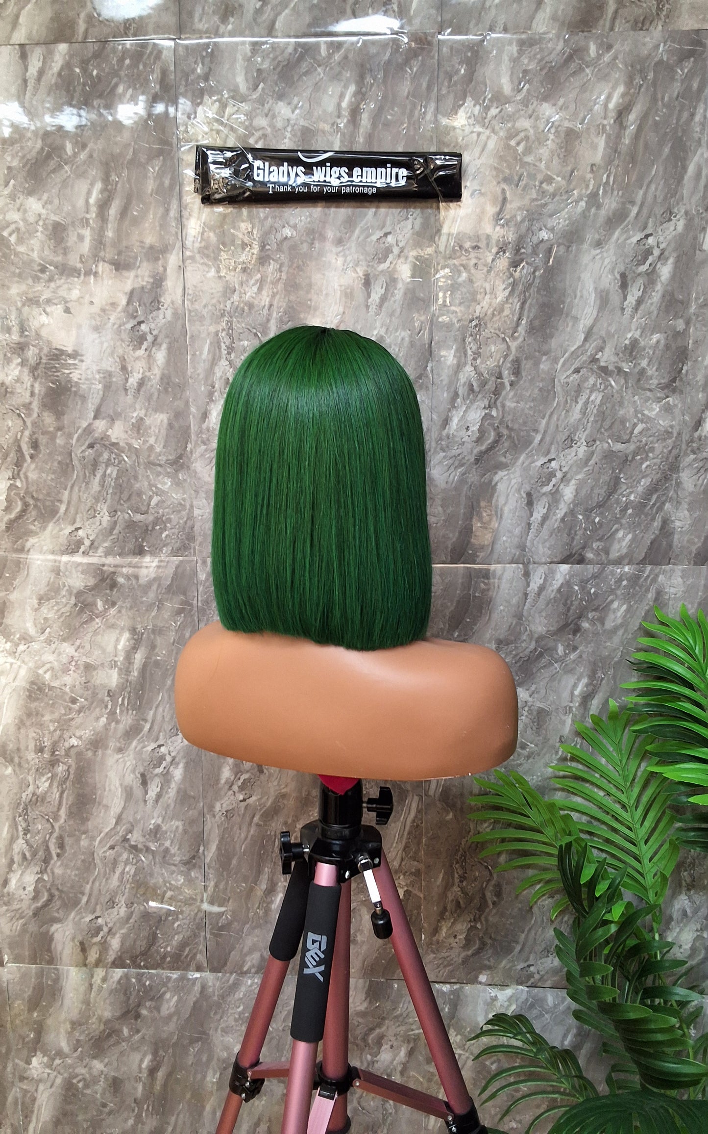 10" SDD Vietnam bonestraight,paired with 2by4 closure 230g ( green)