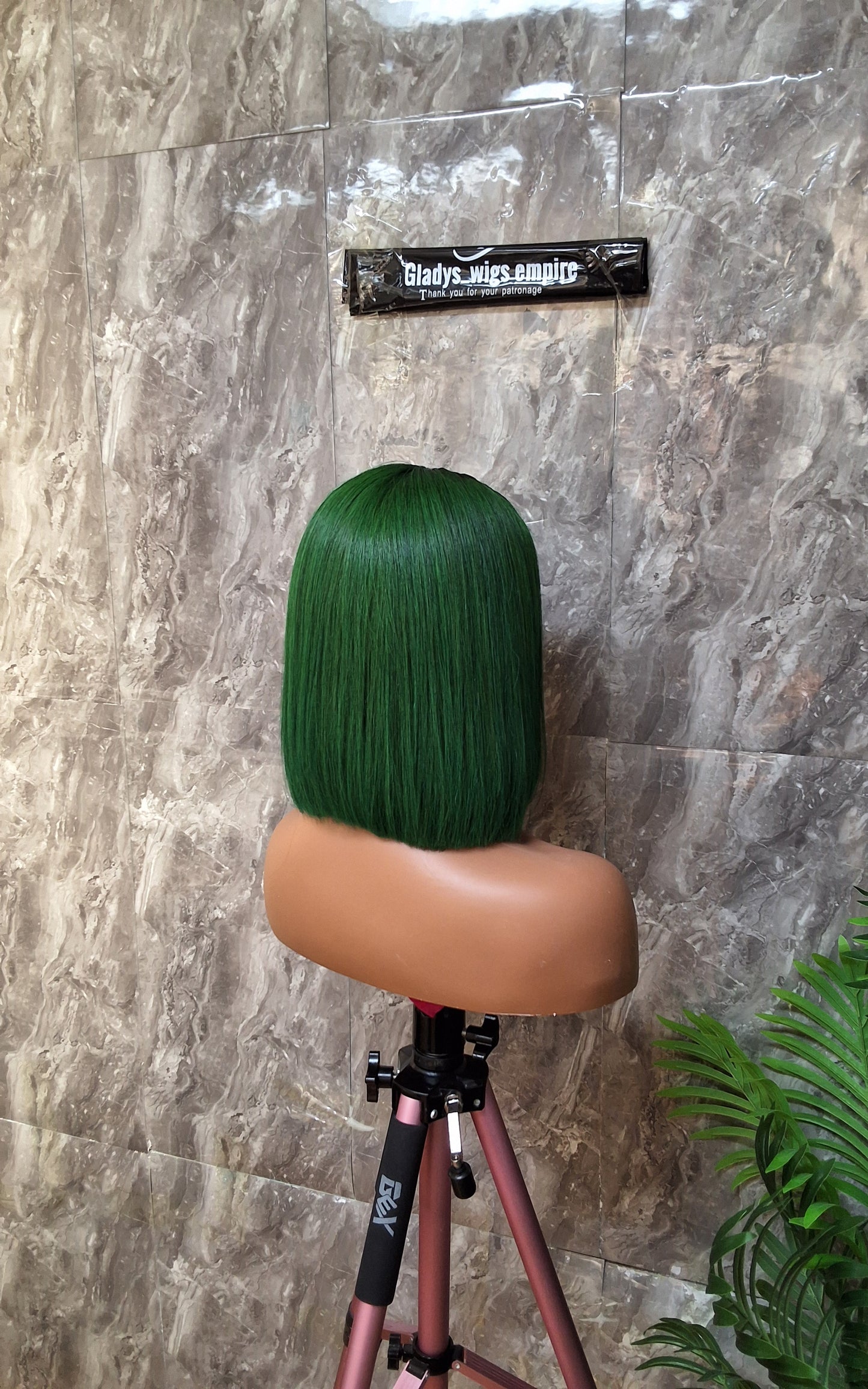 10" SDD Vietnam bonestraight,paired with 2by4 closure 230g ( green)